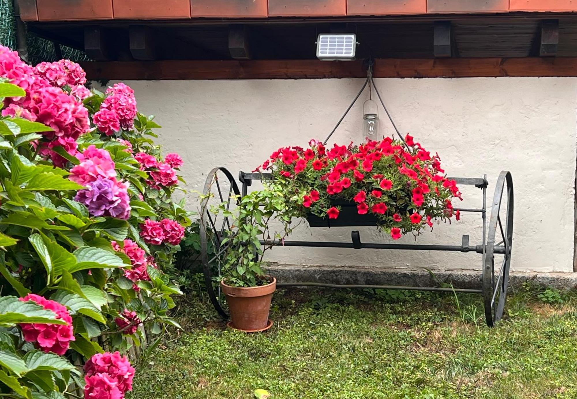 Casa Rural Casa Cerezal Onís Eksteriør billede